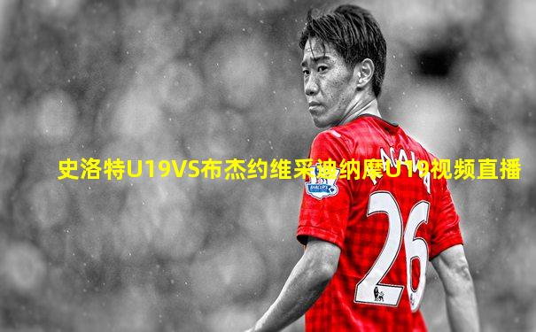 史洛特U19VS布杰约维采迪纳摩U19视频直播