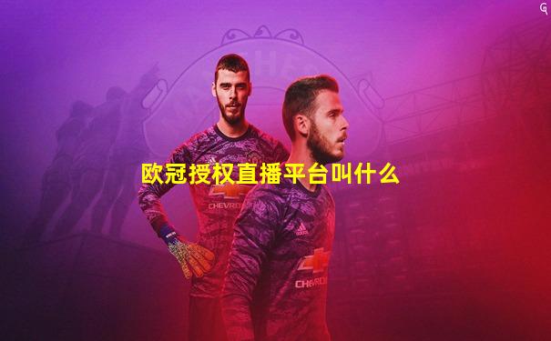 欧冠授权直播平台叫什么