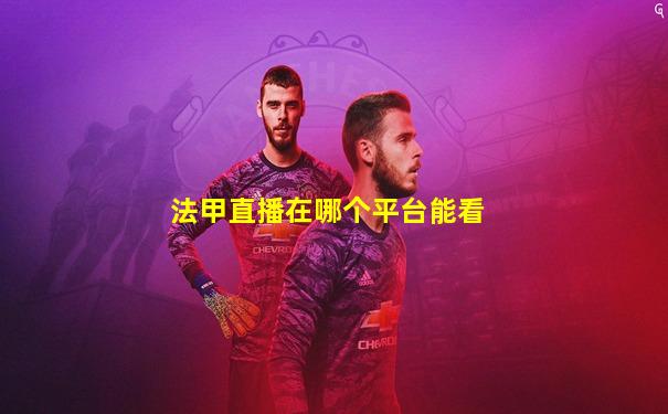 法甲直播在哪个平台能看
