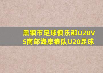黑镇市足球俱乐部U20VS南部海岸狼队U20足球